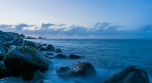 Hurricane Insurance Story