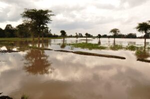 Flood Insurance 