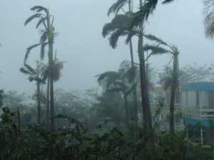 Hurricane Resources