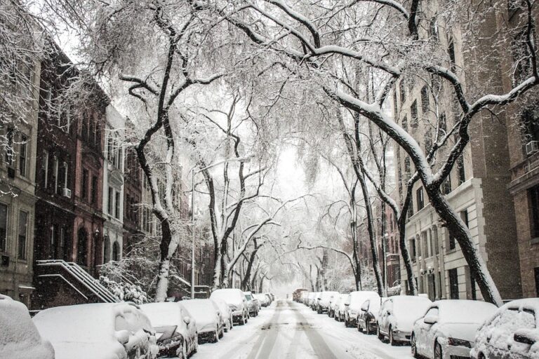 Winter Weather tips