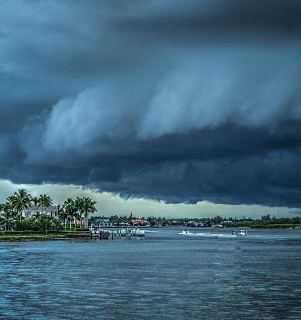 Hurricane Insurance Story